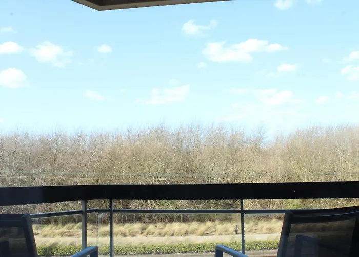 Studio Avondzon